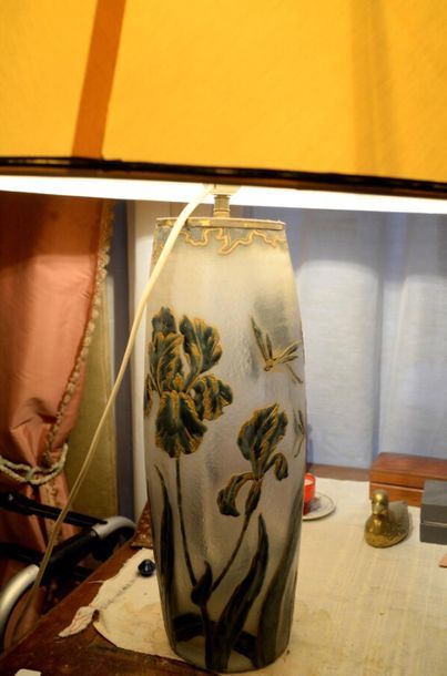 Vase en verre givré à décor émaillé d'iris...