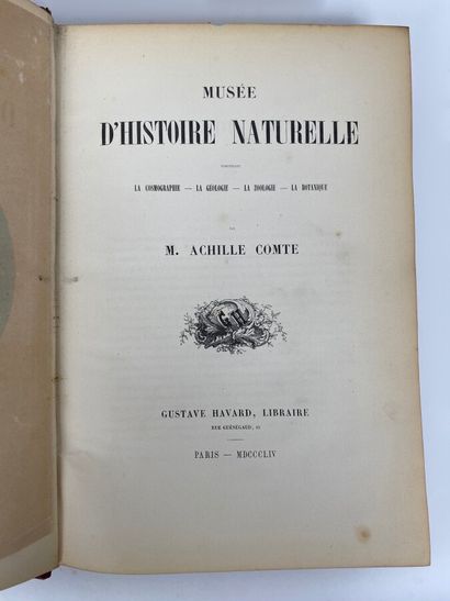  Achille COMTE. Museum of Natural History 
Gustave Havard (Paris), 1854