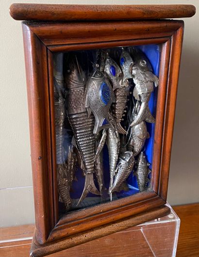 Corner display case containing about 17 fish,...