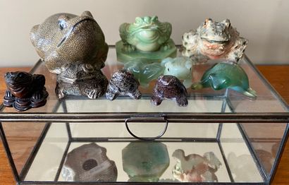Display case with a set of 10 frogs or toads...