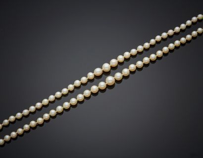 COLLIER composé de deux rangs de perles de...
