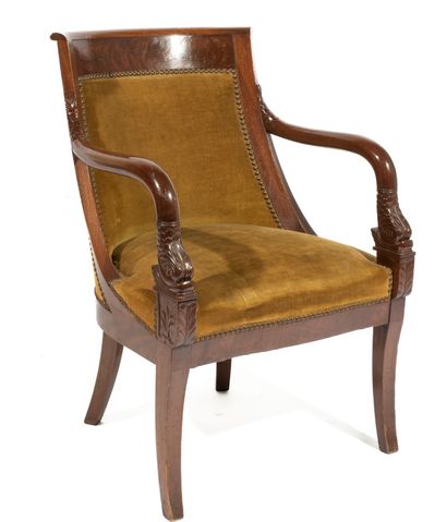  Mahogany and mahogany veneer armchair with a slightly everted back, dolphin and...
