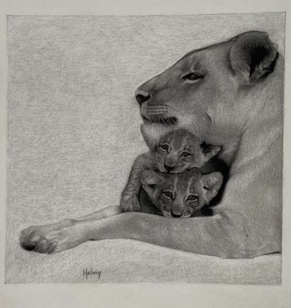 HELMY (Ecole française XXème) Lionne et ses deux petits Fusain Signé 27 x 27 cm