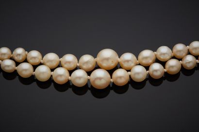  NECKLACE composed of two rows of cream-colored cultured pearls, falling, some slightly...
