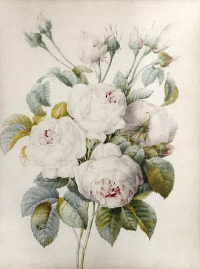 École française vers 1800, entourage de Pierre-Joseph Redouté Bouquet de roses Aquarelle... Gazette Drouot