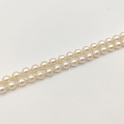 Necklace of cultured pearls in fall.clasp...