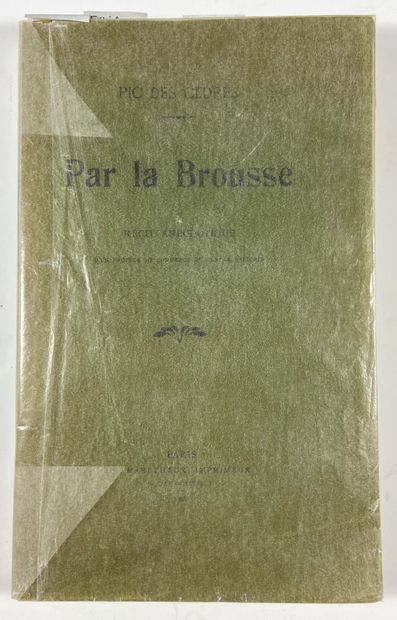  Pic des Cèdres 
Par la Brousse 
Paris, Maretheux, 1908. 
In-12, demi-chagrin