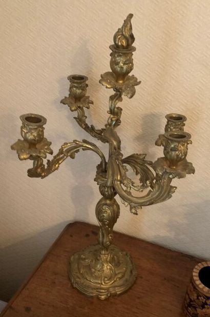  Paire de candélabres en bronze doré à 5 lumières rocaille de style Louis XV. Hauteur...