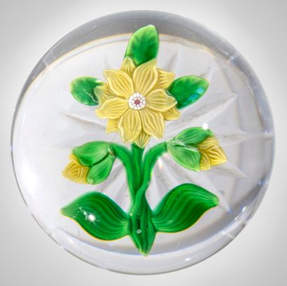  Baccarat.paperweight decorated with a double yellow clematis (rare) with two rows...