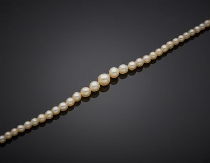  COLLIER composé d'un rang de perles de culture blanches. Fermoir en platine (min.800‰)...