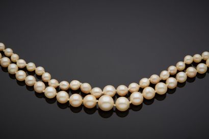  COLLIER composé de deux rangs de perles de culture de couleur crème, en chute. Fermoir...