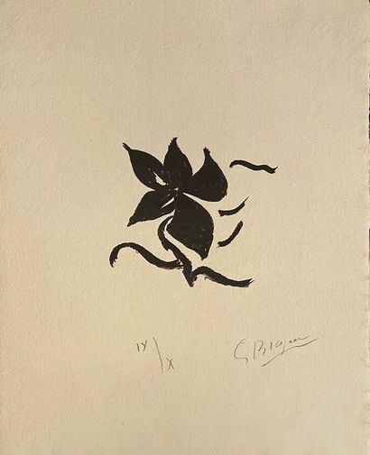  Georges BRAQUE (1882-1963)



Flowers, 1962 (Vallier 181)



Woodcut on paper, signed... Gazette Drouot