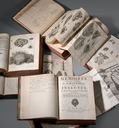 RÉAUMUR Antoine Ferchault de. 
Memories to be used in the history of insects. Paris,...