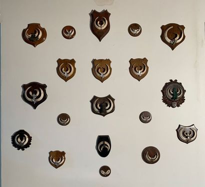 Set of nineteen hunting trophies made up...