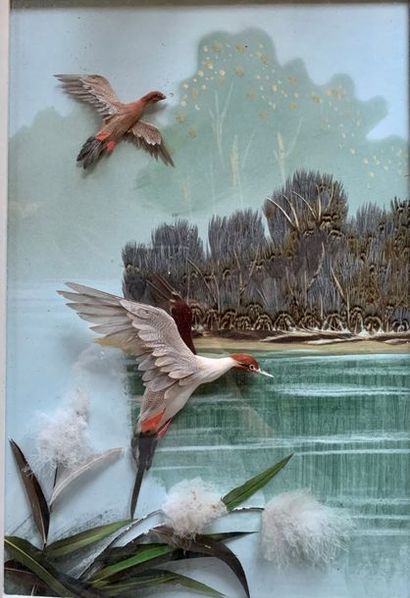 Diorama in feather representing a flight...