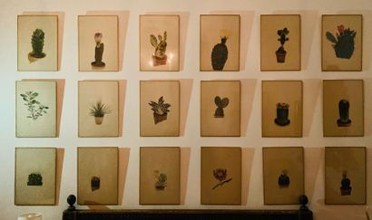 null Eighteen printed herbarium plates representing mainly cacti.
Signed Arlette...