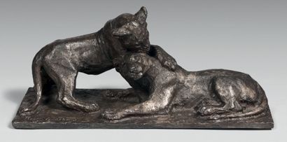 Roger GODCHAUX (1878-1958) : LION CUBS PLAYING. 
Bronze with silver patina, signed...