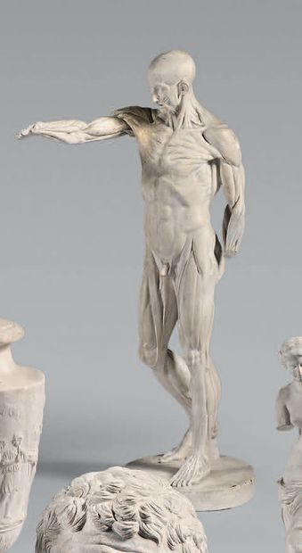 D'après Jean-Antoine HOUDON : L'ÉCORCHÉ. Statue en plâtre. H. : 74 cm. Accidents... Gazette Drouot