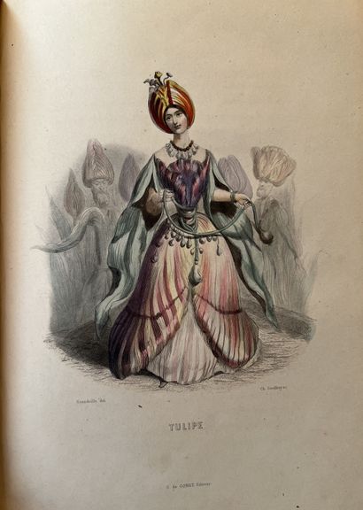 null GRANVILLE J.J. Les fleurs animées. Paris, Gabriel de Gonet, 1847. Two volumes...