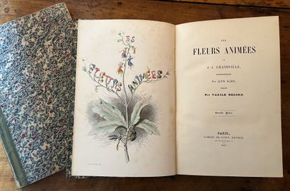 null GRANVILLE J.J. Les fleurs animées. Paris, Gabriel de Gonet, 1847. Deux volumes...