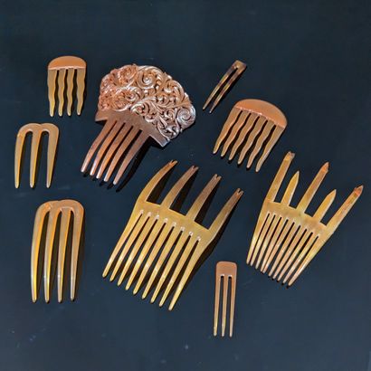 null Set of combs and hair accessories in blonde tortoiseshell.
