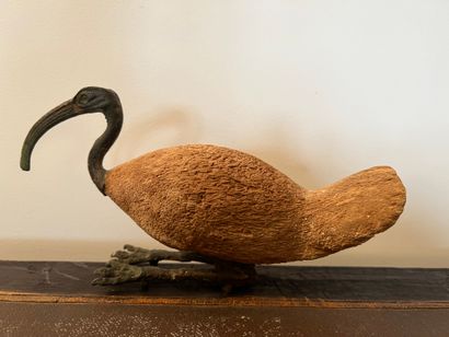 null Ibis, the body in wood, the head and the legs in patinated bronze. Egyptian...