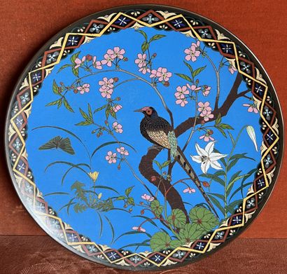 null JAPAN, circa 1900. Two round dishes decorated in cloisonné enamels with birds...