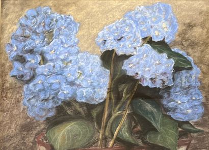 null MODERN SCHOOL: BLUE HORTENSIAS. Three pastels. Sight: 44,5 x 71 cm.