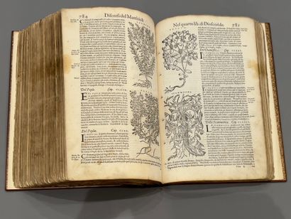 null Piero Andrea MATTIOLI (1501-1578): I discorsi di M. Pietro Matthioli Medico...