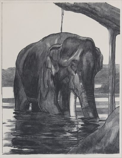 null D'après Paul JOUVE : MARABOUTS - ELEPHANT. Deux lithographies en noir. 24 x...
