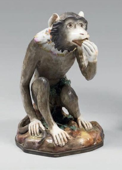 null Statue de singe en porcelaine polychrome dégustant un fruit,. Il porte une collerette...