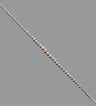 null Collier de perles de culture en chute, le fermoir octogonal en or gris 18K (750)...