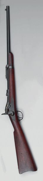 Carabine de selle Springfield modèle 1873...
