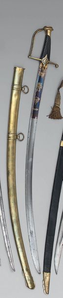 Light cavalry officer's sword model known...