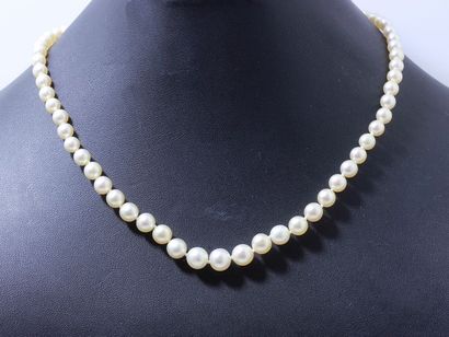 null Beau collier composé d’une chute de 68 perles fines d’environ 4.2 à 8.4 mm....