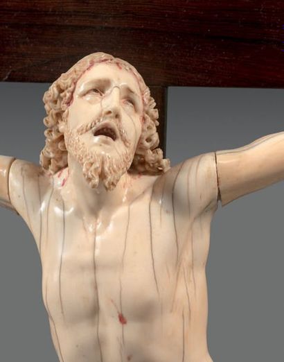 null Rare et important crucifix avec un très beau Christ vivant, en ivoire. Tête...