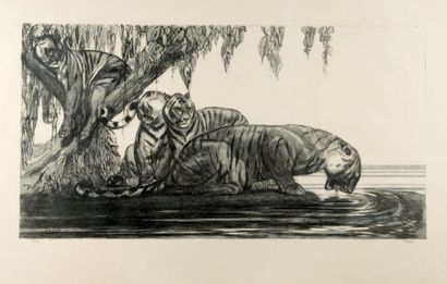 Paul JOUVE (1880-1973) Tigres s'abreuvant
Lithographie originale. Épreuve sur papier...