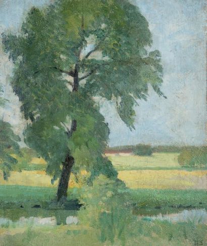 Helena Sofia SCHJERFBECK (attribué à) Paysage aux arbres
Huile sur toile, signée...