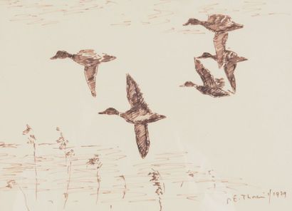 Pierre Emile THORAIN (1903-1983). Canards en vol. Encre sur papier signée et datée...