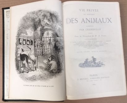 GRANDVILLE (Jean Jacques) & STAHL (Pierre Jules). Vie privée et publique des animaux....