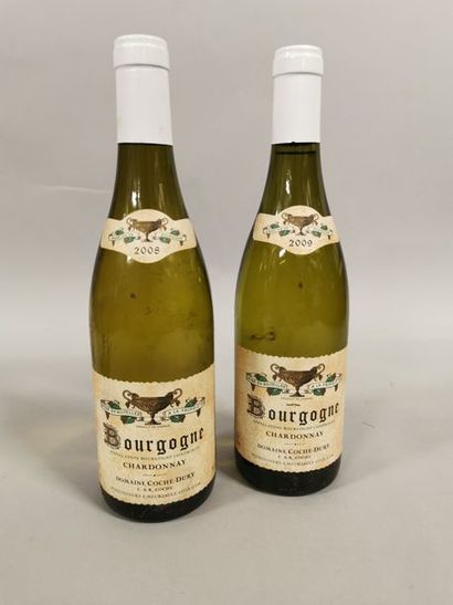null 2 bouteilles BOURGOGNE Coche-Dury 2008 & 2009 
