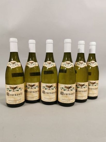 null 6 bouteilles MEURSAULT Coche-Dury 2009 (1 elt, 1 ela) 