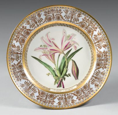 SÈVRES Porcelain plate with polychrome and gold decoration in the centre of botanical...
