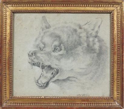 Jacques Charles OUDRY (Paris 1720 - Lausanne 1778) Tête de loup ou de renard Crayon...