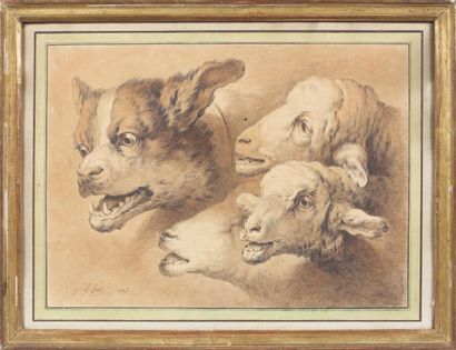 Jean-Baptiste HUET (Paris 1745 - 1811) Tête de chien et trois têtes de moutons Lavis...