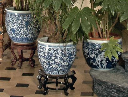 CHINE Trois vasques cylindriques, décors différents en bleu sous couverte de branches...