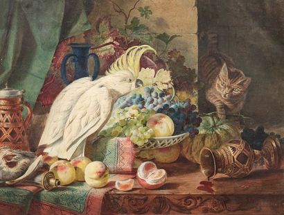 École ALLEMANDE du XIXe siècle 
Still life with parrot, cat and fruit basket on a
watercolor...
