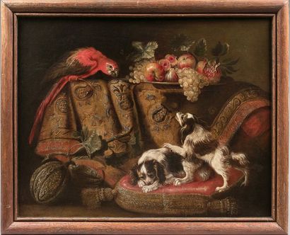 Reynaud LEVIEUX (Nîmes 1613 - Rome 1699) 
Ara, spaniels and fruit
bowl Toile.
(Accidents).
80...