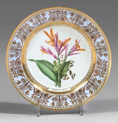 SÈVRES Porcelain plate with polychrome and gold decoration in the center of botanical...