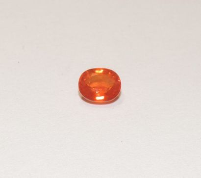 null A facetted orange sapphire of oval shape. Dimensions: approx. 7.5 x 6.6 x 4.3...